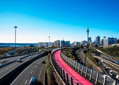 Pexels liam spicer 5342974